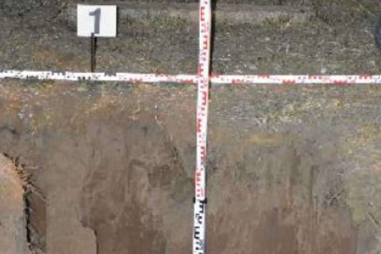 Egy kisgyermek életébe került a szabálytalan kútfúrás