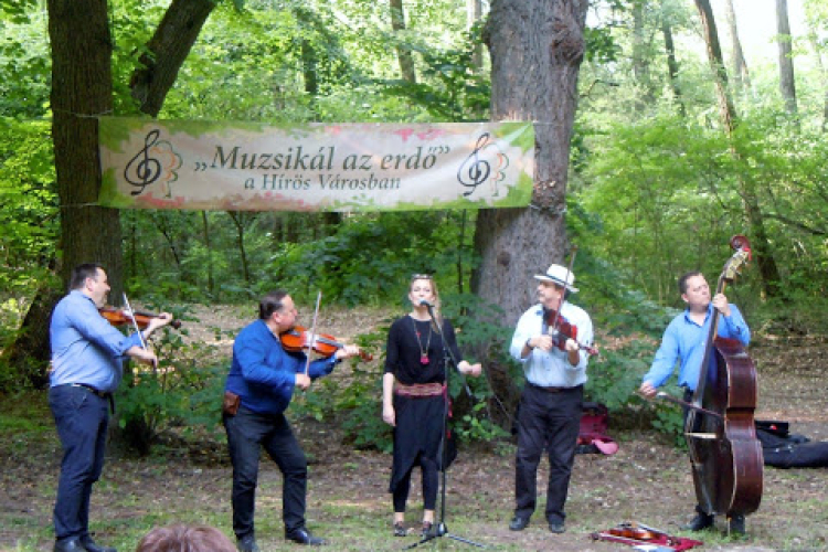 Pályázatot hirdet a Muzsikál az Erdő Alapítvány
